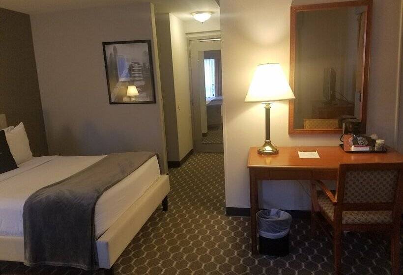 デラックスルーム, Inn Of Chicago