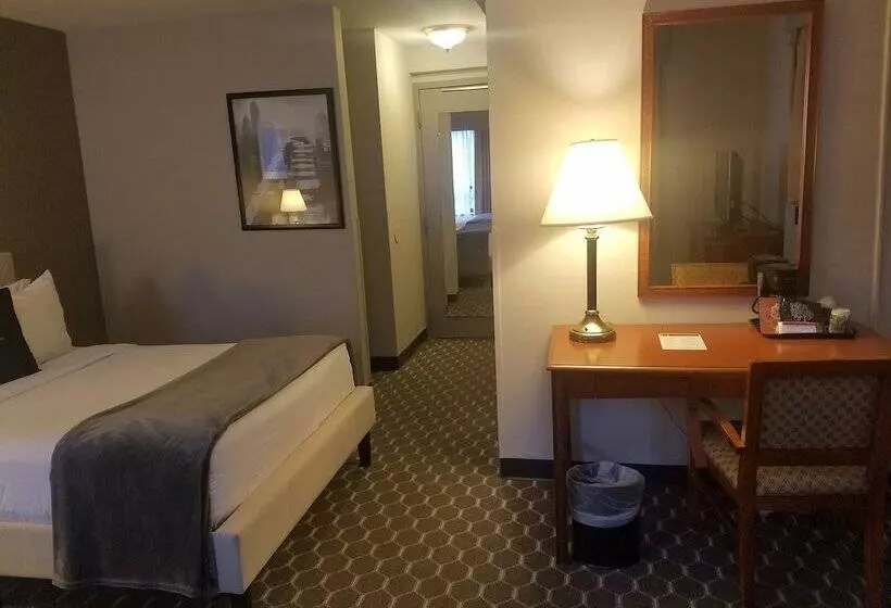 デラックスルーム, Inn Of Chicago