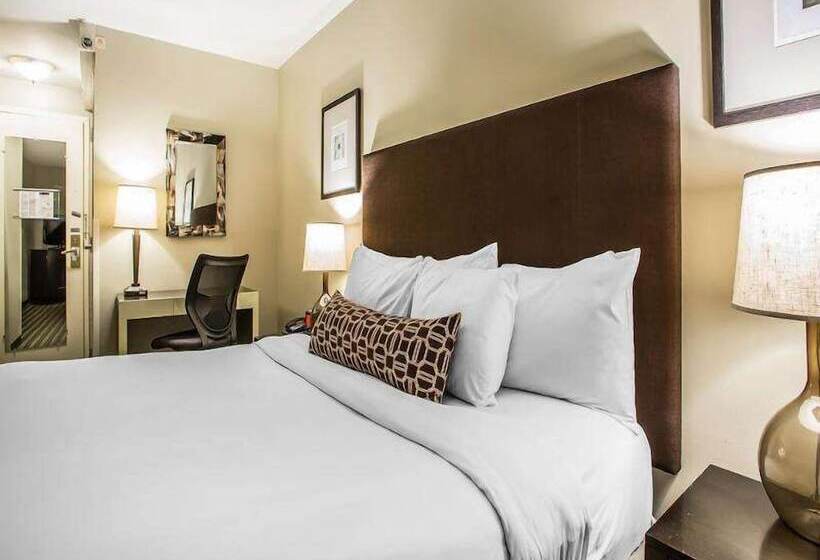 デラックスルーム, Inn Of Chicago