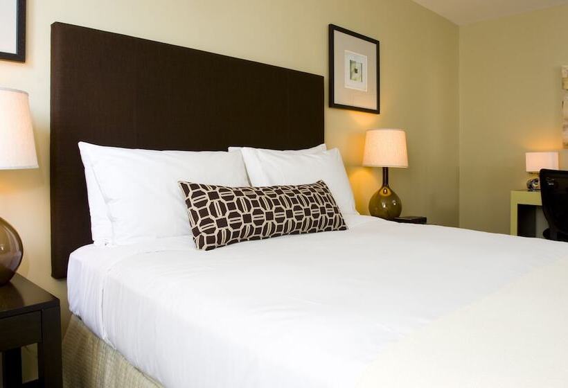 デラックスルーム, Inn Of Chicago