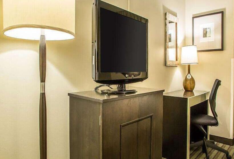 Quarto Deluxe, Inn Of Chicago