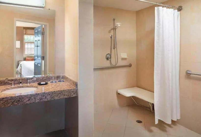 اتاق استاندارد با تخت بزرگ, Sheraton Commander