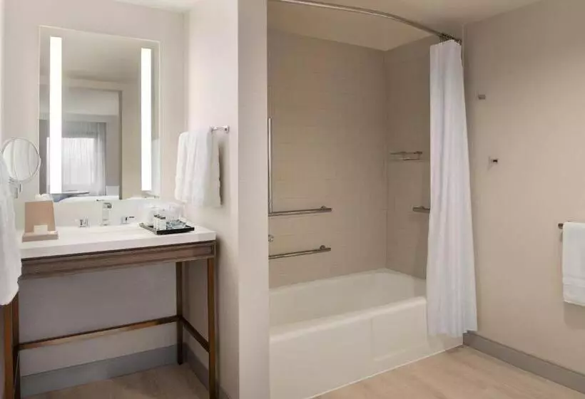 اتاق استاندارد با 2 تخت دوبل, Sheraton Madison