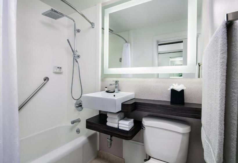 带城市景观的标准间, Sheraton Princess Kaiulani