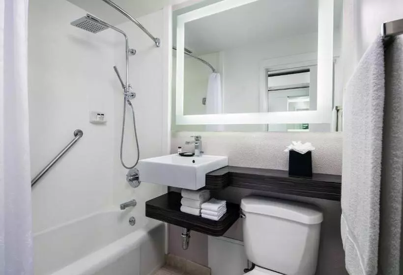 Standard-huone Kaupunkinäkymä, Sheraton Princess Kaiulani