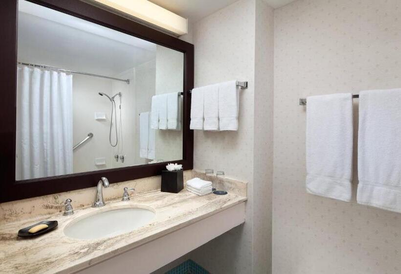 带观景的标准间, Sheraton Princess Kaiulani