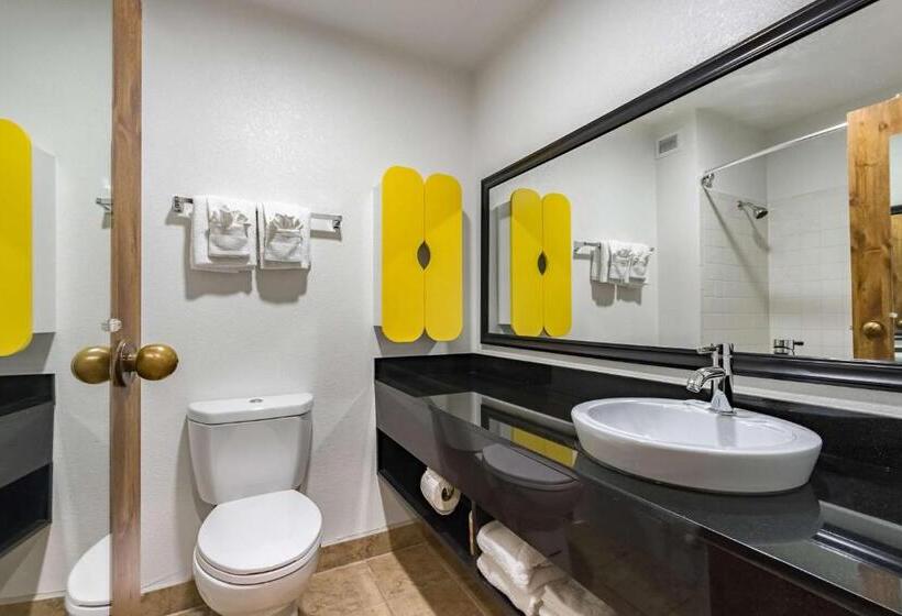 غرفة ديلوكس سرير كينج, Quality Inn & Suites Plano East   Richardson