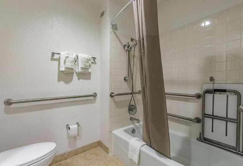 غرفة قياسية سرير كينج, Quality Inn & Suites Plano East   Richardson