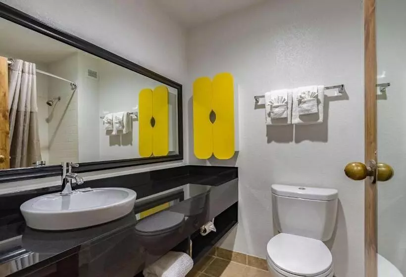 デラックススイート, Quality Inn & Suites Plano East   Richardson