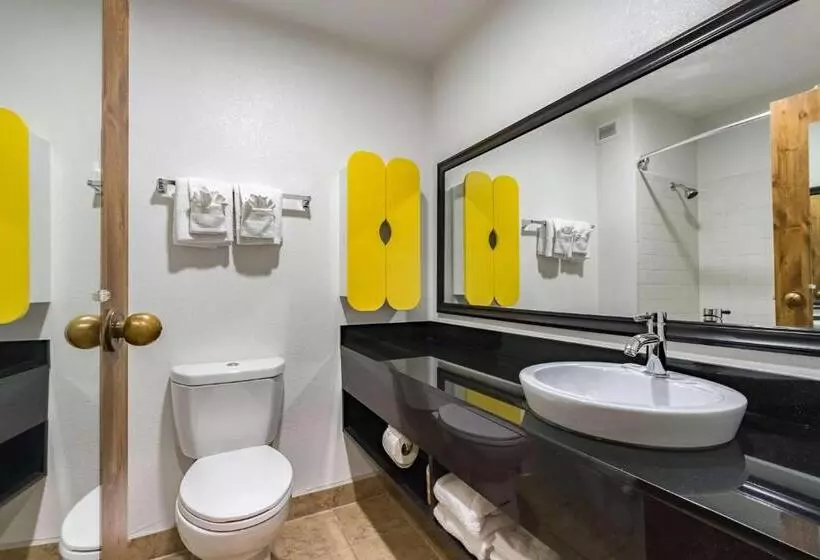 デラックススイート, Quality Inn & Suites Plano East   Richardson