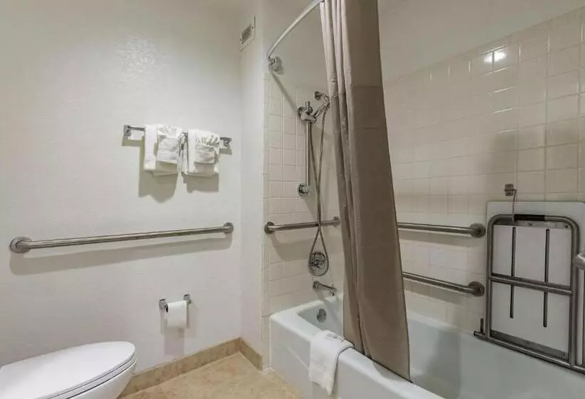 スタンダード４人部屋, Quality Inn & Suites Plano East   Richardson