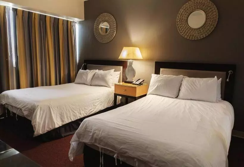 デラックスルーム, Stamford Suites