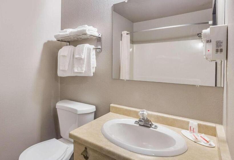 غرفة قياسية لذوى الاحتياجات الخاصة, Super 8 By Wyndham Green Bay Near Stadium