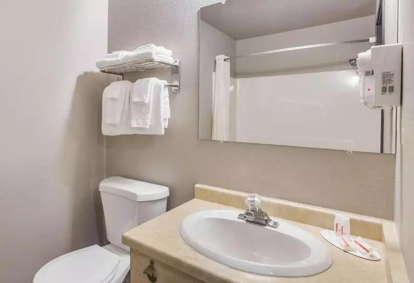 اتاق استاندارد با تخت بزرگ, Super 8 By Wyndham Green Bay Near Stadium