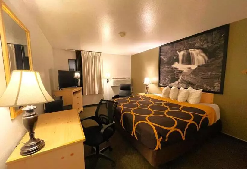 اتاق استاندارد با تخت بزرگ, Fairbridge Inn & Suites Moscow   Pullman