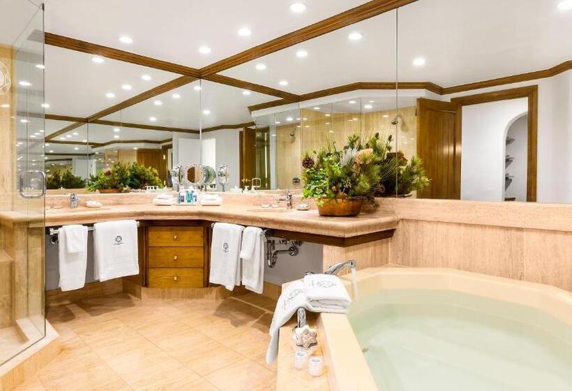 סוויטה אקזקיוטיב, Sonnenalp