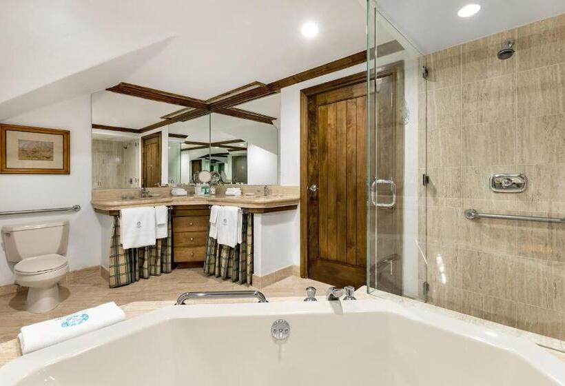 חדר סטנדרט, מיטת קינג, מותאם לאדם עם מוגבלויות, Sonnenalp