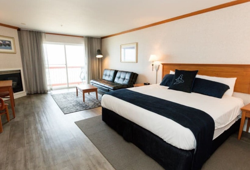 キングサイズベッドのスタンダードルーム, Surftides