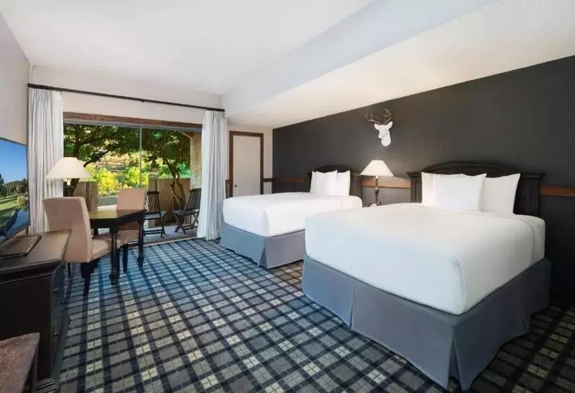 اتاق استاندارد, Tapatio Springs Hill Country Resort