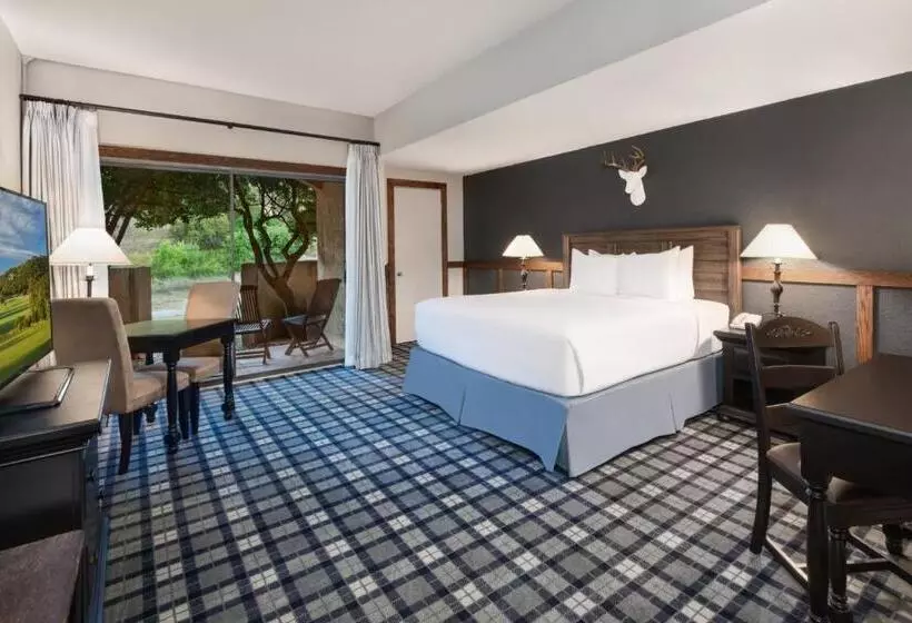 اتاق استاندارد با تخت بزرگ, Tapatio Springs Hill Country Resort