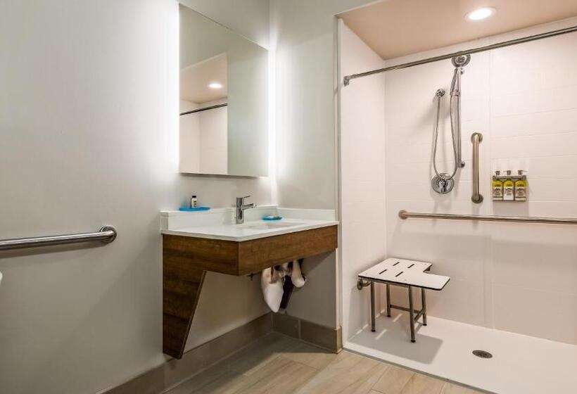 غرفة قياسية سرير كينج لذوى الإحتياجات الخاصة, Holiday Inn Express & Suites Detroit   Farmington Hills, An Ihg