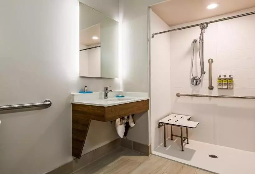 身障者適用キングサイズベッドルーム, Holiday Inn Express & Suites Detroit   Farmington Hills, An Ihg