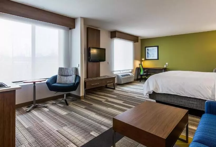 キングサイズベッドのエクゼクティブ, Holiday Inn Express & Suites Detroit   Farmington Hills, An Ihg