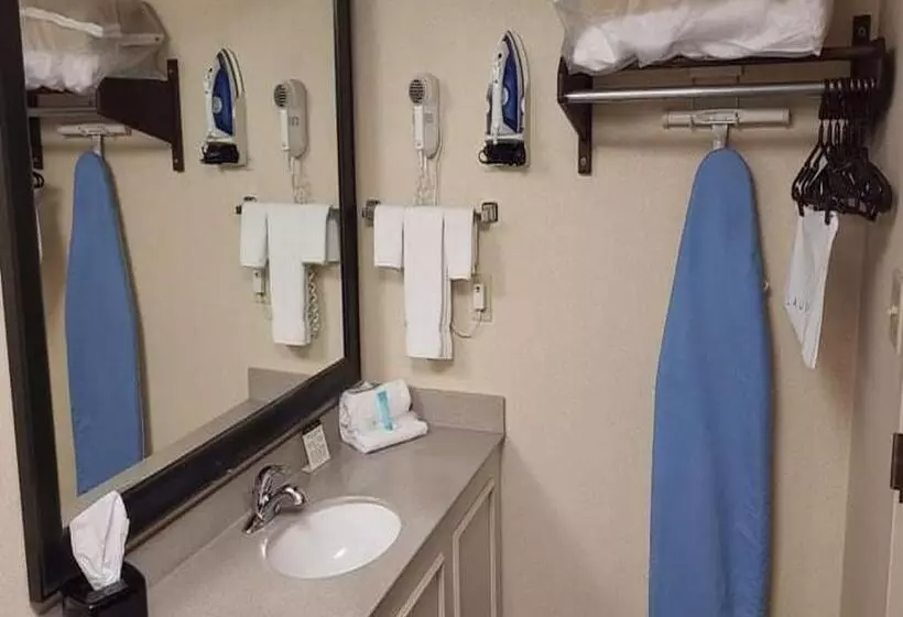 キングサイズベッドのスタンダードルーム, Auburn Place Hotel & Suites Cape Girardeau