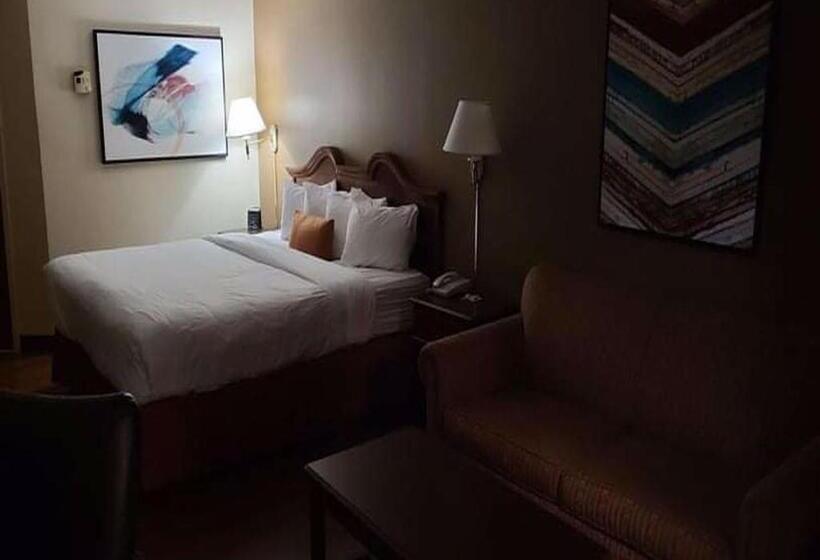 غرفة قياسية سرير كينج, Auburn Place Hotel & Suites Cape Girardeau