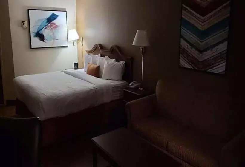 キングサイズベッドのスタンダードルーム, Auburn Place Hotel & Suites Cape Girardeau