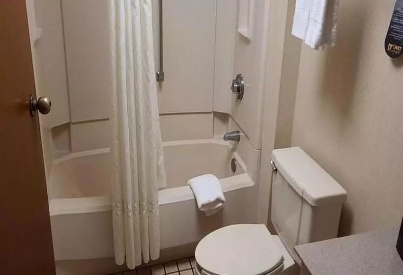 キングサイズベッドのスタンダードルーム, Auburn Place Hotel & Suites Cape Girardeau