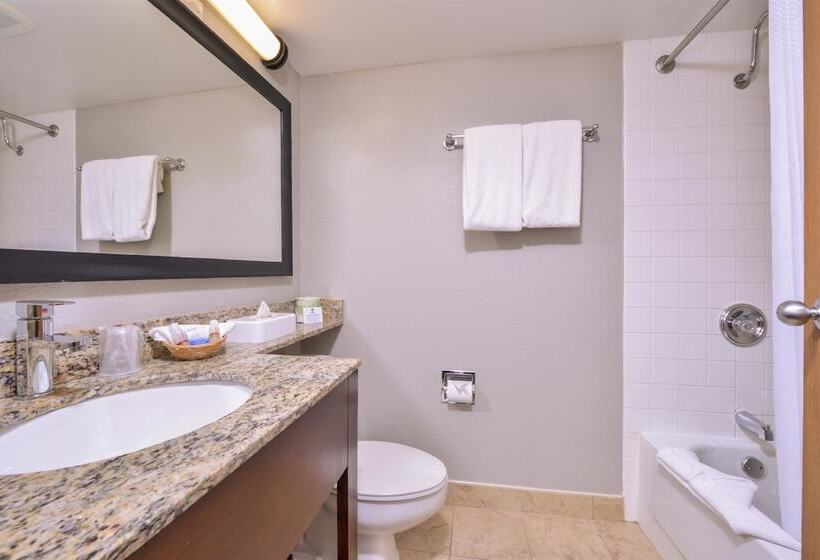 스탠다드 룸 더블 침대 2개, Best Western Naperville Inn