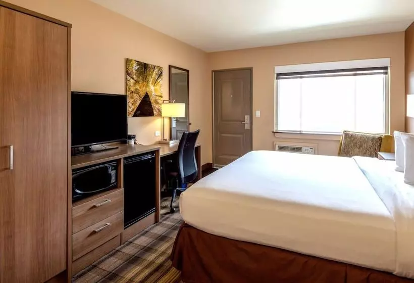 اتاق لوکس, Boulder University Inn