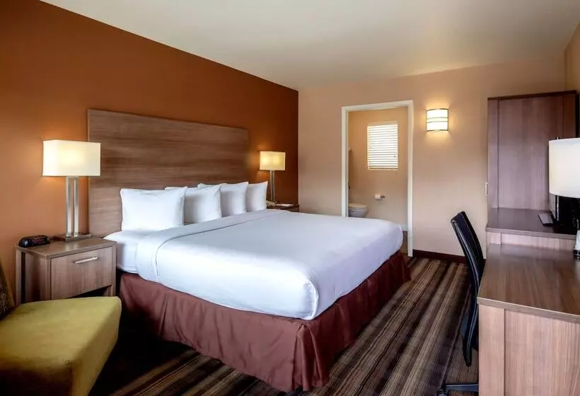 سوییت جونیور, Boulder University Inn