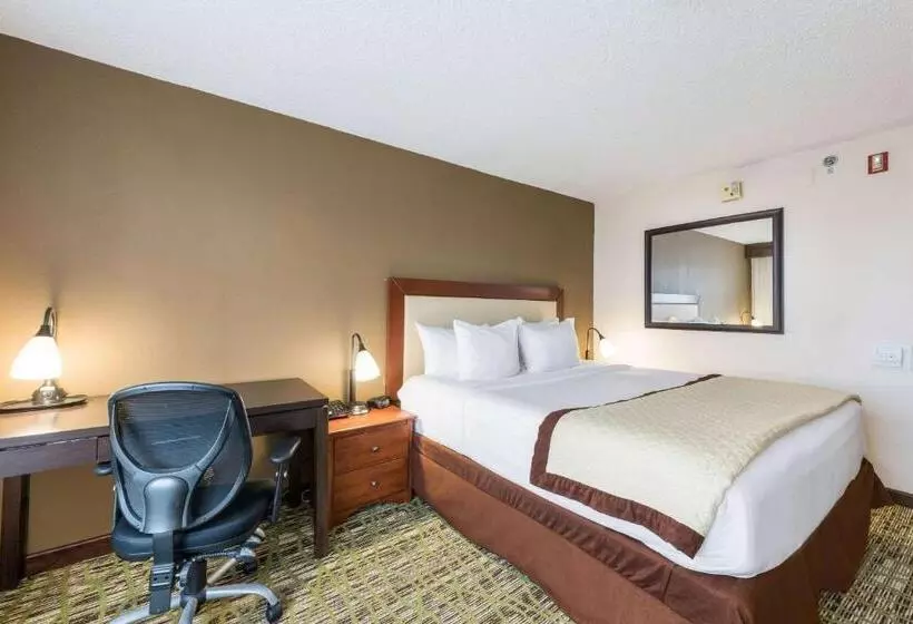 身障者適用キングサイズベッドルーム, Clarion Hotel & Suites