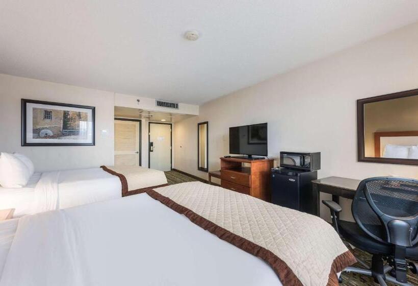 غرفه قياسيه سريرين مزدوجين, Clarion Hotel & Suites