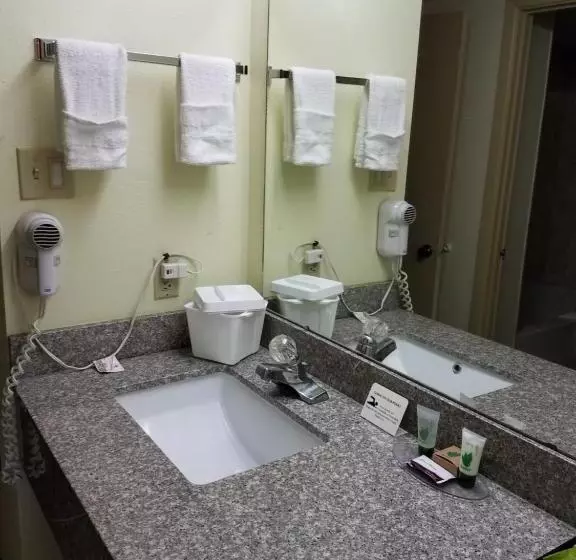 اتاق لوکس با تخت بزرگ, Discovery Inn Lafayette