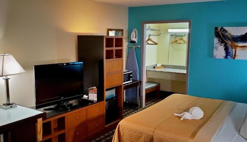 带大床的豪华间, Discovery Inn Lafayette