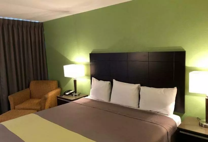 キングサイズベッドのスタンダードルーム, Inn Of Long Beach