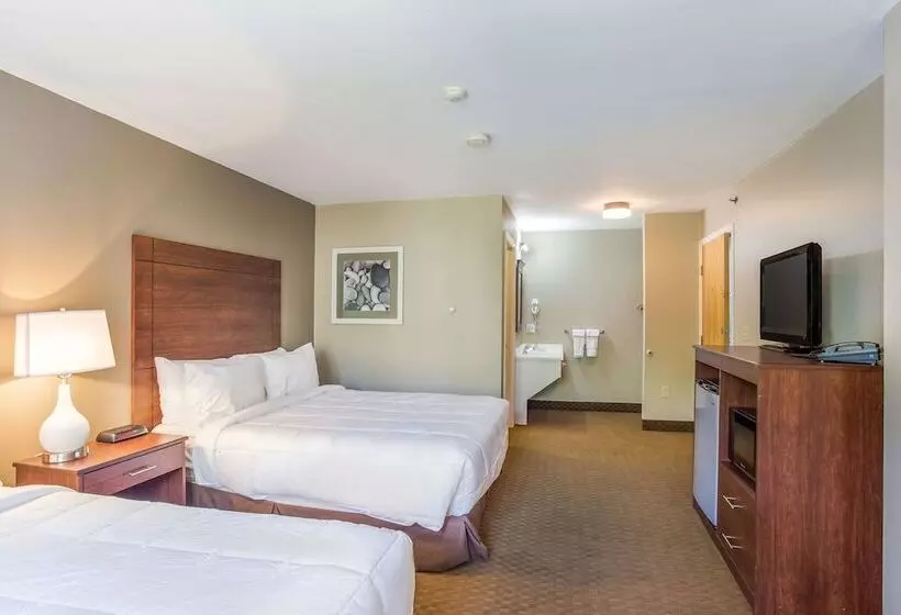 ２ダブルベッドのスタンダードルーム, Quality Inn & Suites