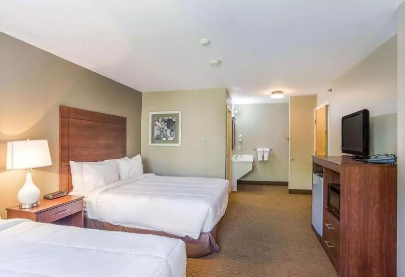 スタンダードルーム, Quality Inn & Suites