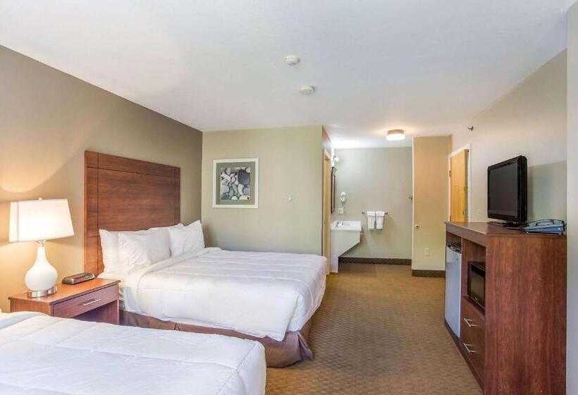 Номер Стандарт 2 Двуспальные Кровати, Quality Inn & Suites