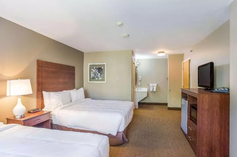 クイーンサイズベッドのスタンダードルーム, Quality Inn & Suites