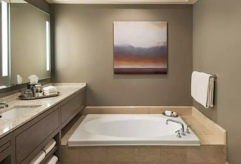 اتاق دلوکس مخصوص معلولین, The Phoenician, A Luxury Collection Resort, Scottsdale