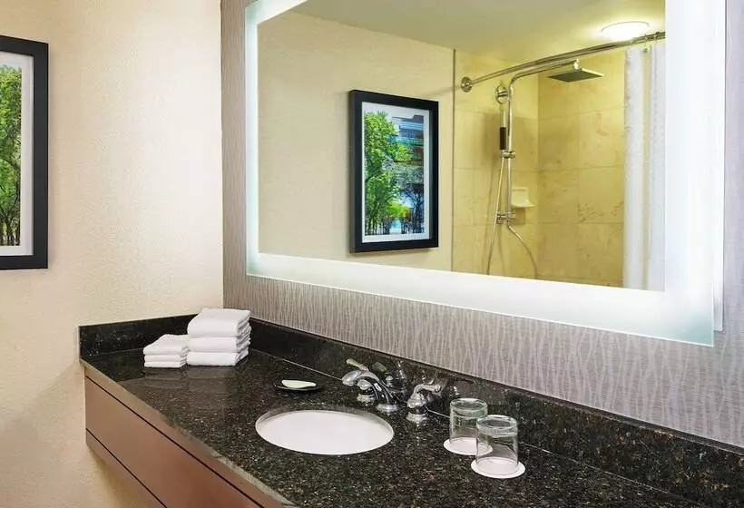 ２ダブルベッドのスタンダードルーム, The Westin Michigan Avenue Chicago