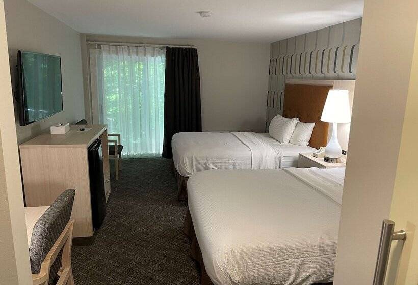 스탠다드 룸 더블 침대 2개, Woodwards White Mountain Resort Bw Signature Collection