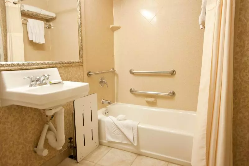 اتاق استاندارد با تخت بزرگ, Wyndham Midland Downtown