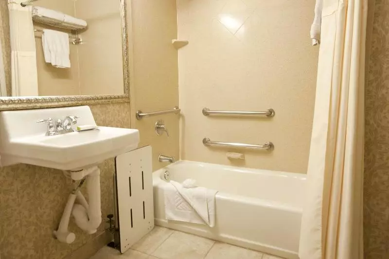 اتاق استاندارد با تخت بزرگ, Wyndham Midland Downtown