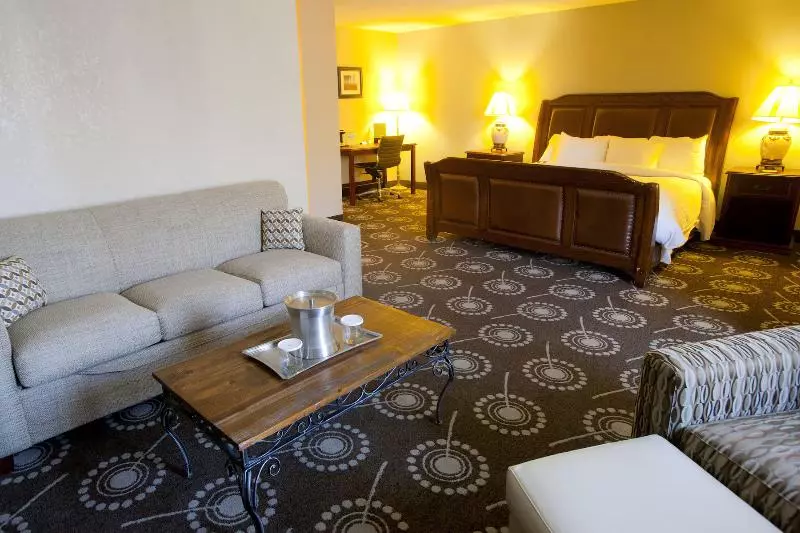 سوئیت جونیور با تخت بزرگ, Wyndham Midland Downtown
