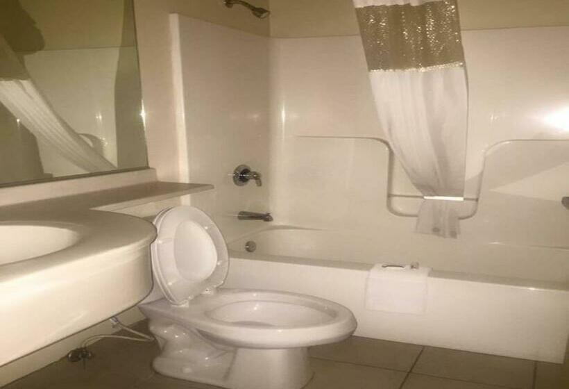 غرفة قياسية, Microtel Inn & Suites By Wyndham Quincy Downtown   River Area